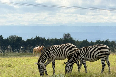From Nairobi: Hell’s Gate National Park & Lake Naivasha