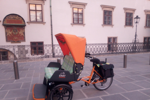3 heures de visite de Vienne en RAXI (pousse-pousse électrique)