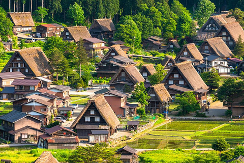 3-Day Tokyo to Kyoto Alps Tour:Shirakawa-go&Takayama&Magome Private Charter Price (Up to 8 Guests)