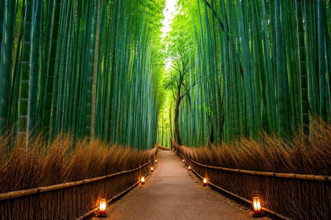 Kyoto Full-Day Customizable Group Tour with Guide