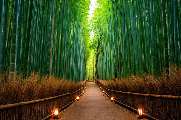 Kyoto Full-Day Customizable Group Tour with Guide