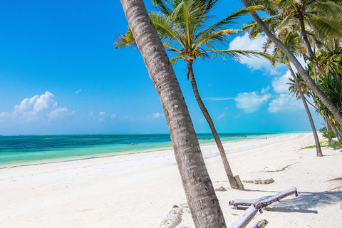 7-Day Serengeti Safari and Zanzibar Beach Tour