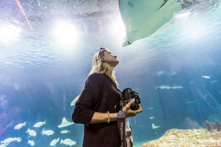 Valencia: Inträdesbiljett till Oceanogràfic