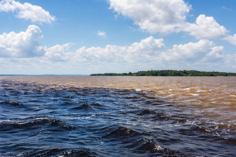 The Heart of the Amazon in One Day (The Most Complete Tour) Exclusivity