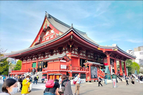 Tokyo: Private City Day Tour with English speaking Driver