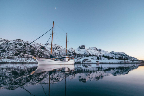 Tromsø:Arctic Fishing &amp; Seafood Fjord Cruise on Luxury YachtTromsø: Luxury Fishing &amp; Seafood Cruise