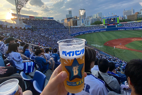 Japan Baseball Admission Ticket (Tokyo Stadiums)