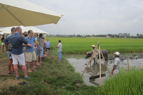 Hoi An: Eco-Luxury Farming and Fishing Tour with Lunch