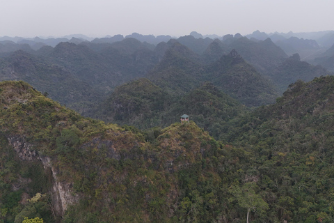 Half Day Hiking to Cat Ba National Park with a Guide