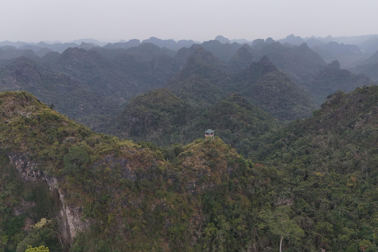 Half Day Hiking to Cat Ba National Park with a Guide