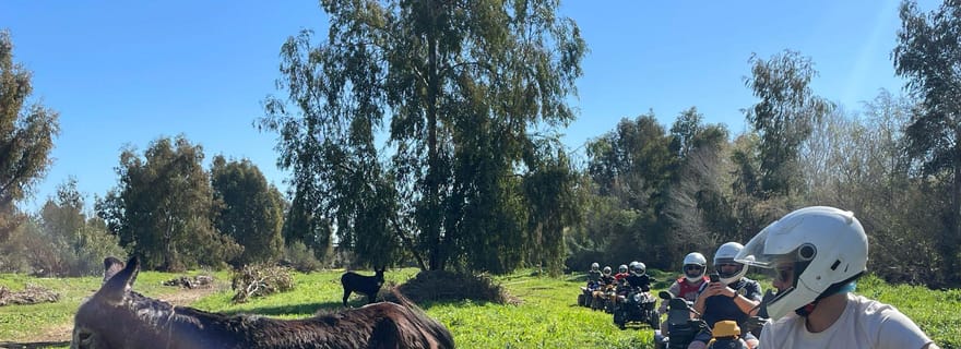 Málaga : Excursion de 2 heures en quad tout-terrain en solitaire