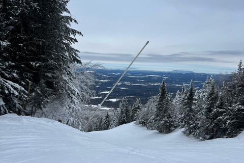 Montreal: Canadian Forest Guided Tour by Snowmobile Snowmobile for One Person