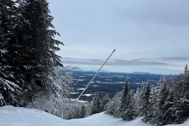 Montreal: Canadian Forest Guided Tour by Snowmobile Snowmobile for One Person