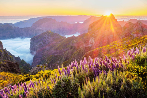 Pico Areeiro to Pico Ruivo: guided hiking tour