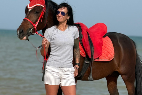Hurghada: Swimming & Horse riding with FREE Photos & Videos 2-Hour Horse Swimming & Photos with Transfer