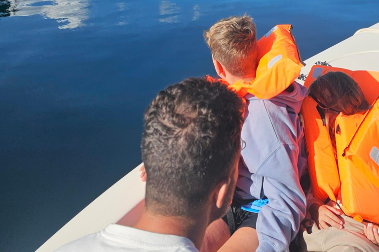 Private boat ride on Lake Lacar in San Martin de los Andes