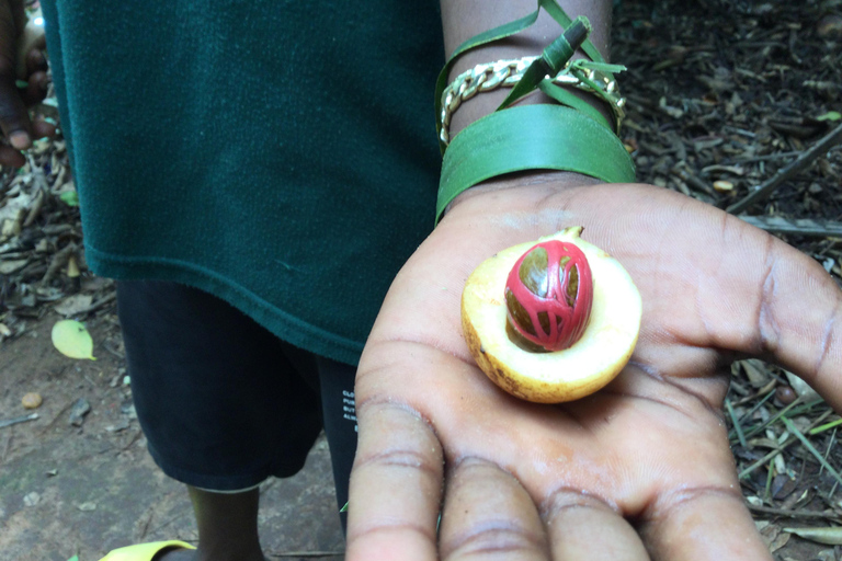 Zanzibar: En smak av Zanzibar Spice Tour