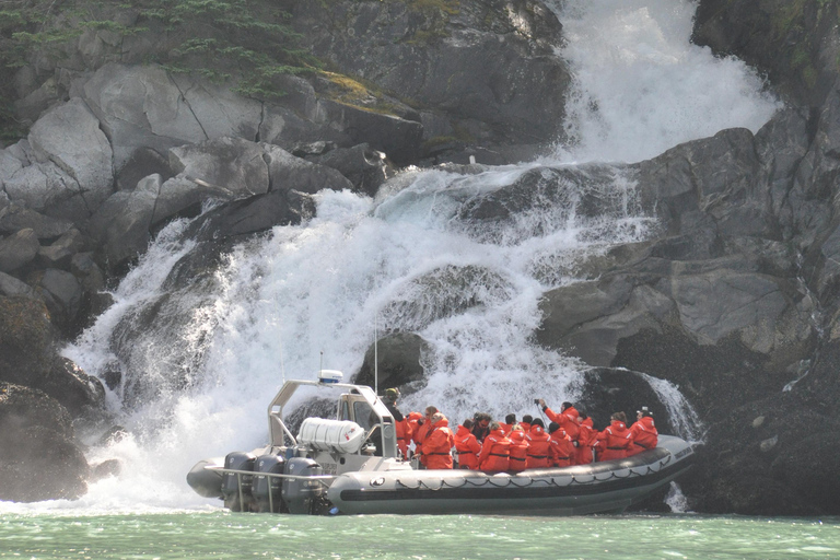 Skagway: Ocean Raft Adventure Along Scenic Coastline