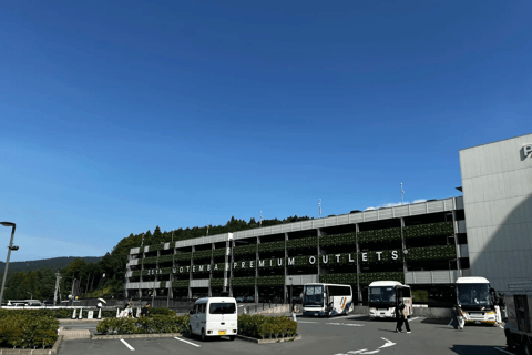 Tokyo: Mountain Fuji Private Full Day Tour with transfer Mount Fuji: Private Tour (Guided tour included) Max 5 pax