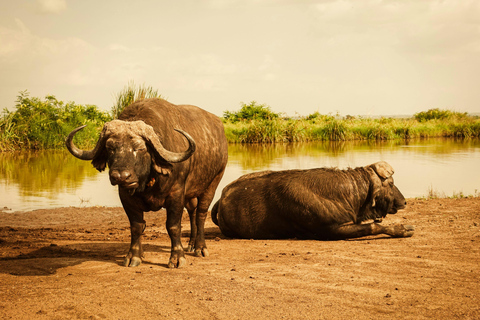 Nairobi: 3-Day Great Rift Valley Safari with Boat Ride