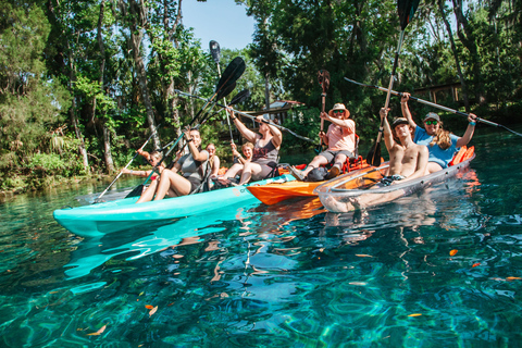 Crystal River: Three Sisters Spring Manatee Clear Kayak Tour