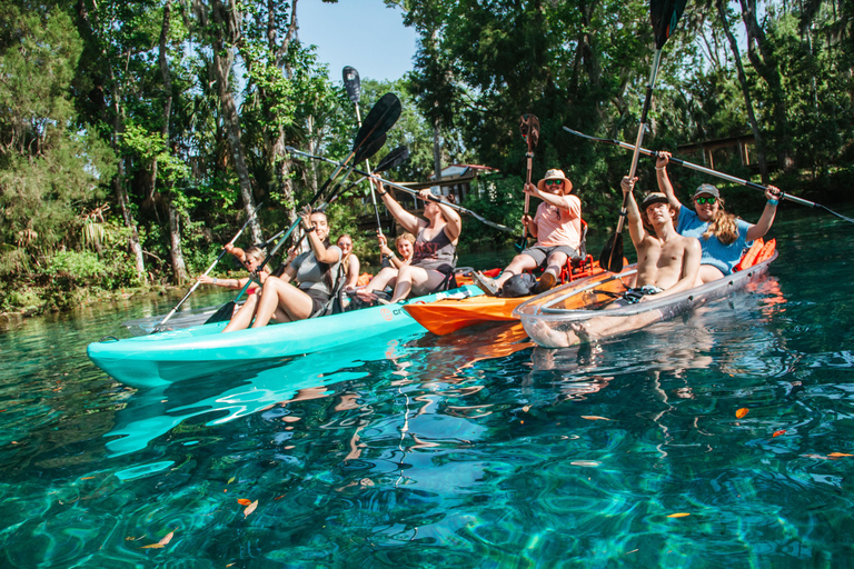 Crystal River: Three Sisters Spring Manatee Clear Kayak Tour