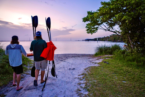 Merritt Island: Small-Group Clear Kayak Bioluminescence Tour