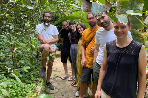 إيلا: جولة في حديقة التوابل Nine Arch مع غداء تقليدي