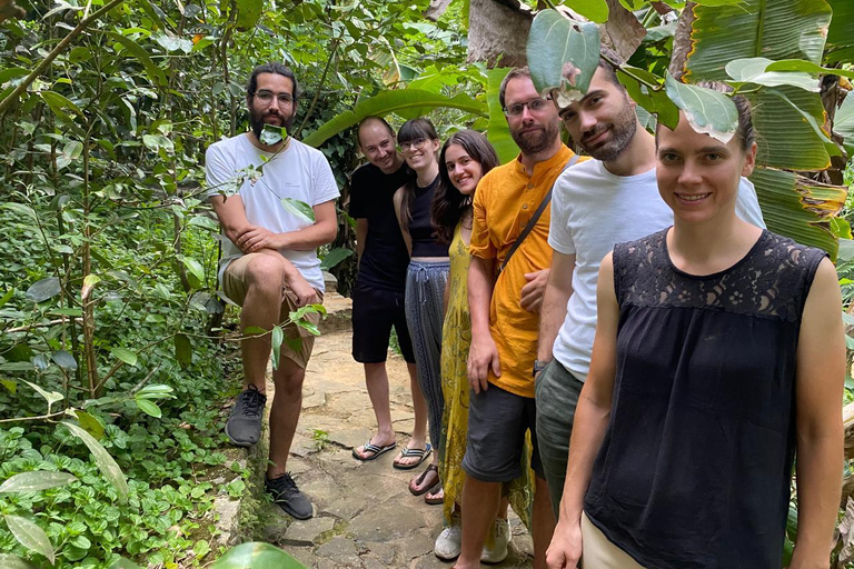 إيلا: جولة في حديقة التوابل Nine Arch مع غداء تقليدي