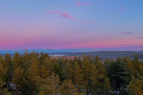 Oslo: Forest Hike with Panoramic Fjord Views and a dog