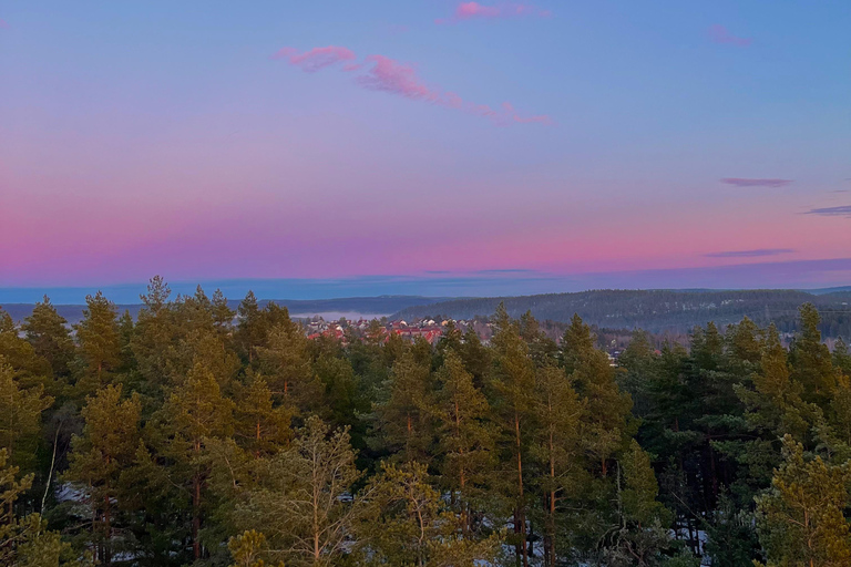 Oslo: Forest Hike with Panoramic Fjord Views and a dog