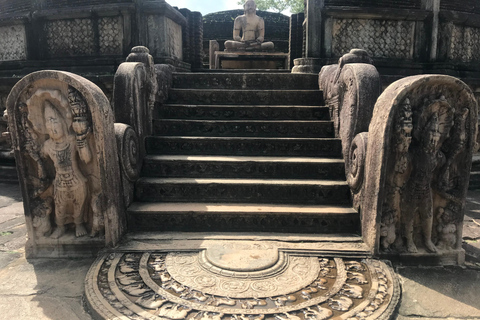 Colombo: Dambulla Cave Temple and Sigiriya Day Trip