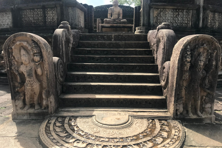 Colombo: Dambulla Cave Temple and Sigiriya Day Trip