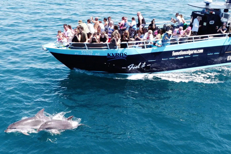 Portimão: Benagil Caves & Dolphins Watching with Biologist