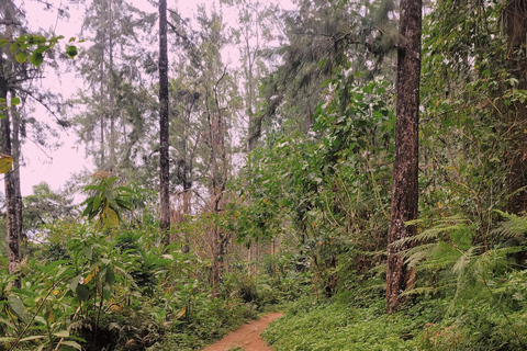 Arusha nature hike to Napuru waterfalls.