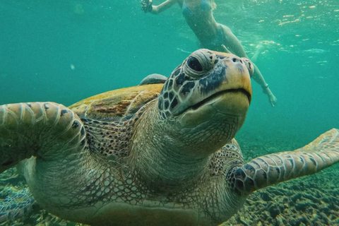 Ko Tao: Vintage Boat-Small Group Snorkeling Day Trip w/Meals