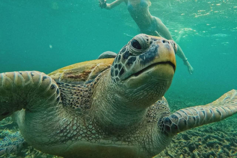 Ko Tao: Vintage Boat-Small Group Snorkeling Day Trip w/Meals