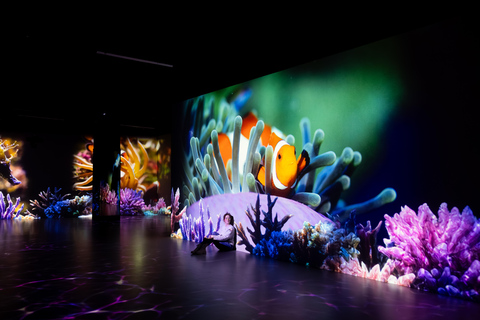 Hamburg: Port des Lumières – Ocean Wonders