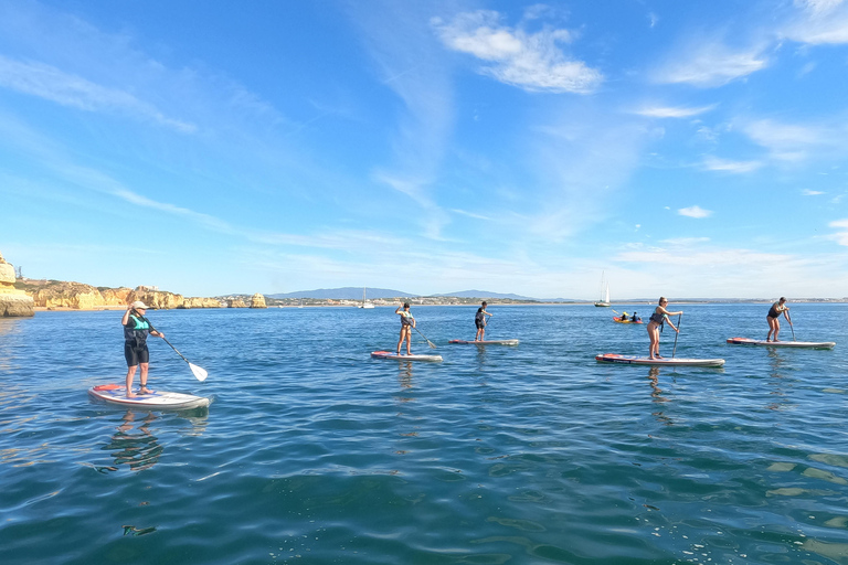 Lagos: Stand Up Paddle Board Tour in "Ponta Da Piedade"