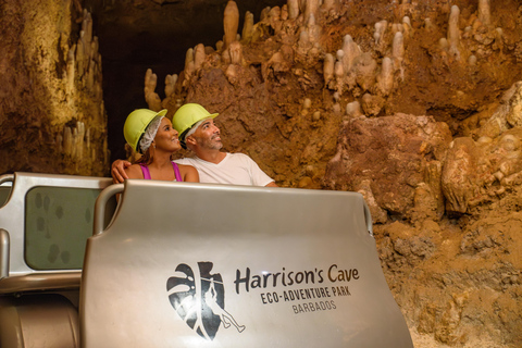 Barbados: Harrison&#039;s Cave Adventure Park Pass