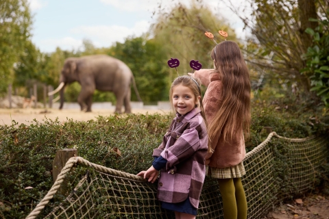Eindhoven: Entrada al Zoo de Dierenrijk