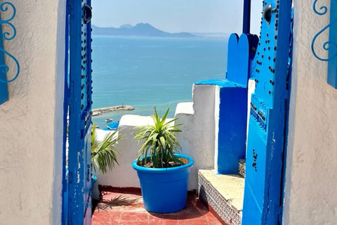 From Tunis & Hammamet: Bardo, Carthage & Sidi Bou Said