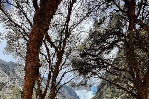 Huaraz: Hele dag Lagune 69 + Lagune van Llanganuco