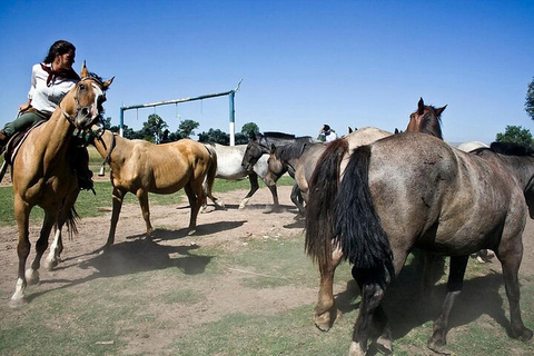 Gaucho Day Tour Don Silvano Estancia From Buenos Aires