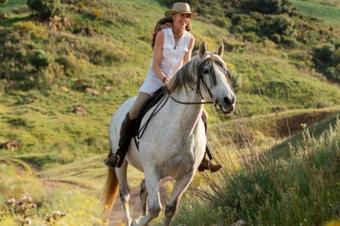 San José: Horseback Riding in Scenic Cloud Forest