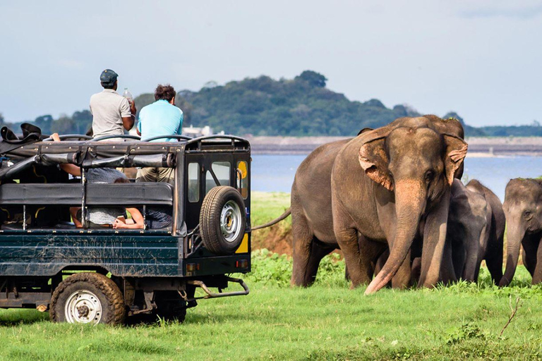 7- Days Sri Lanka Private Tour Package with 4*Hotels & Meals