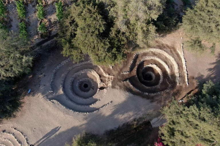 De Ica: Voo das Linhas de Nazca e visita ao Museu Maria Reiche