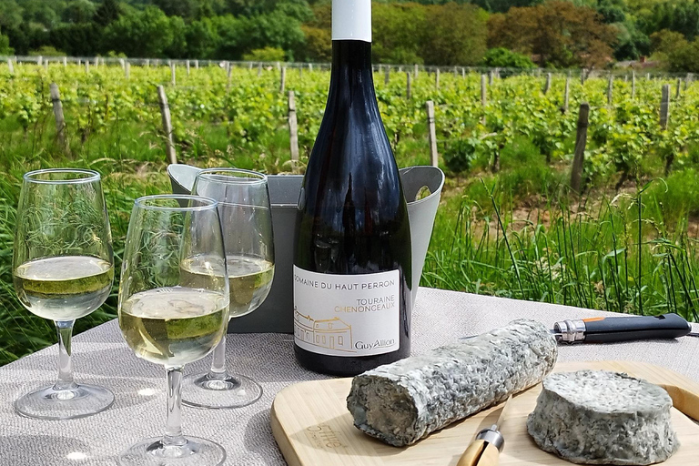 Giro in ebike dei vini e dei formaggi della Touraine, con degustazione nei vigneti