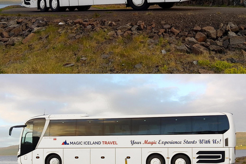 Reykjavik: Northern Lights Tour with Chinese Guide冰岛雷市中文极光团 极光团（含Bus Stop #12免费接送）