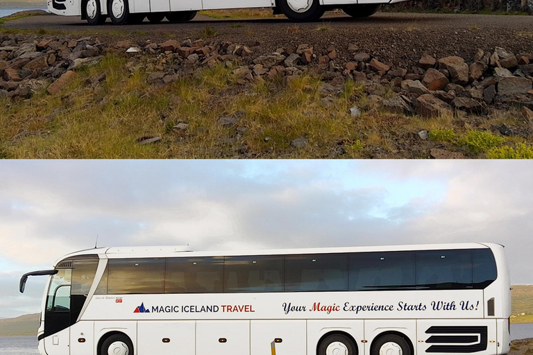 Reykjavik: Northern Lights Tour with Chinese Guide冰岛雷市中文极光团 极光团（含Bus Stop #12免费接送）